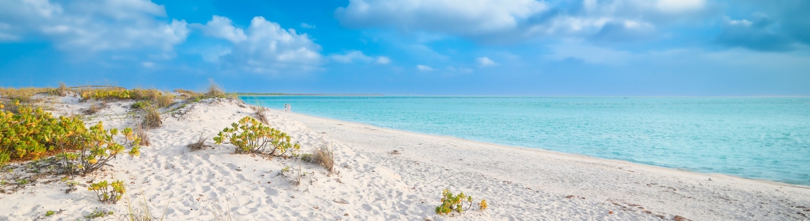 Beach on Captiva Island